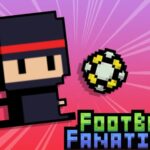 Footbag Fanatic